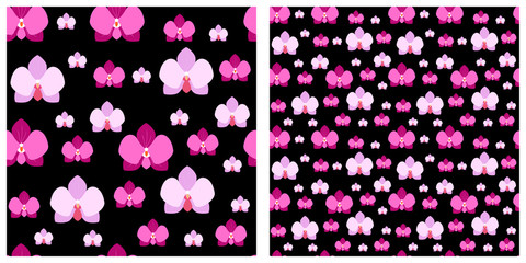 Orchid or flower seamless pattern on black background