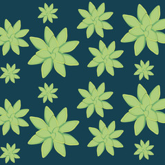 Obraz premium succulent plant seamless pattern