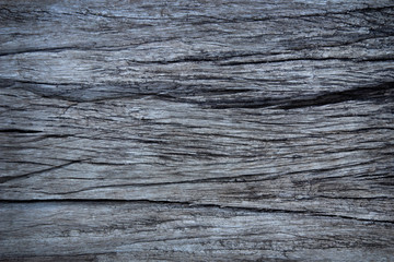 Old grunge wood panels for background texture