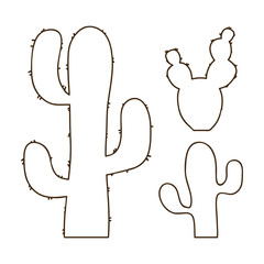 hand drawn outline cactus set © djvstock