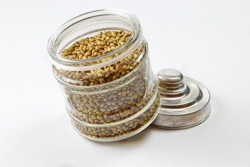Dried coriander seeds