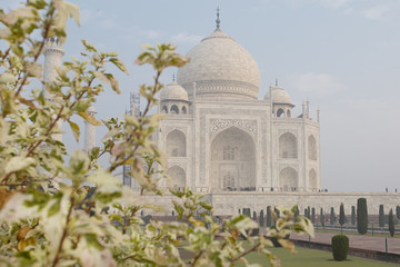 Fototapeta na wymiar Epic Taj Mahal India 