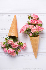 Fresh  pink roses flowers in waffle cones on  white wooden background.