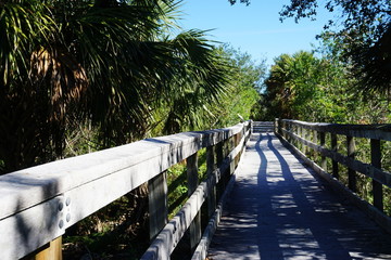 Nature trail in wilderness