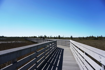 Man exploring nature alone