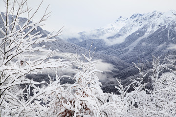 beautiful mountain landscape of the Caucasus Mountains