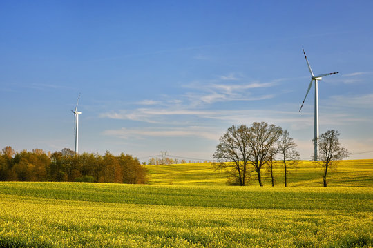 Wind power plant in the fieds, Poland , Sztum 