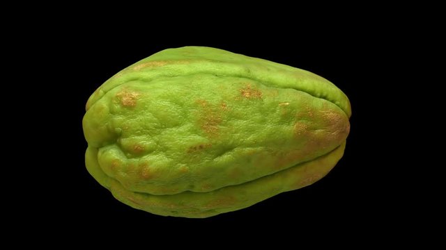 Realistic render of a rotating chayote on black background. The video is seamlessly looping, and the 3D object is scanned from a real chayote.
