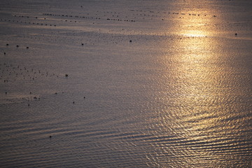 Morning of Shimotsu bay Minami Sanriku-cho