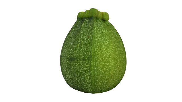Realistic render of a rotating round zucchini ("Ronde de Nice" variety) on white background. The video is seamlessly looping, and the 3D object is scanned from a real zucchini.
