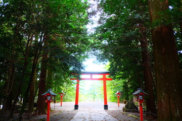 Fototapeta na wymiar 神社の鳥居2