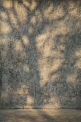 Shadow of tree branch on cement wall and concrete floor