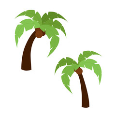 Palm trees isolated on white background. Set vector illustration
