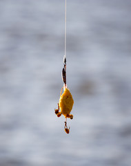 The fisherman put on bait on hooks fishing rods