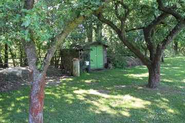 Gartenhäusschen mit einer grünen Tür