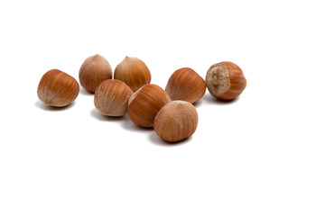 hazelnut isolated on the white