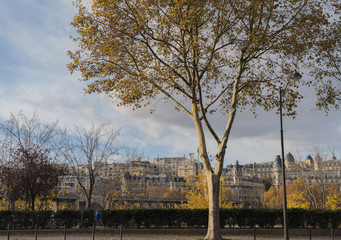 Fototapeta na wymiar パリ