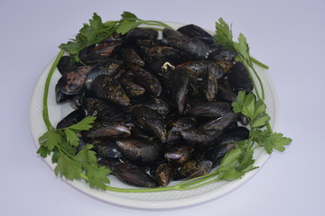 Italy, Puglia, mussels tarantine in plain sight with parsley