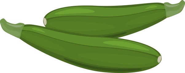 Two fresh green zucchini on white background