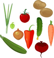 Set of different vegetables on white background