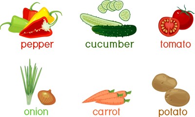 Set of different vegetables with titles on white background