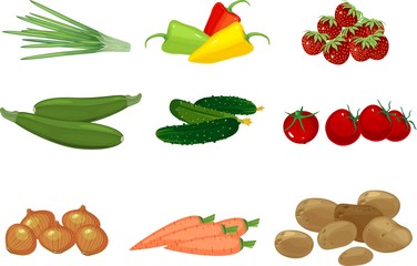 Set of different vegetables on white background