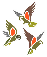 Obraz premium Stylizowane ptaki - Kea w locie
