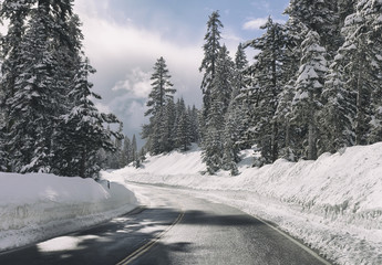 Fototapeta premium Road in winter forest.