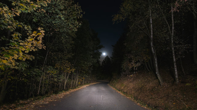 Empty road crossing pine tree woodland illuminated by moon. Loneliness and fear concept.