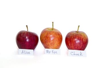 The Apple of my Eye
