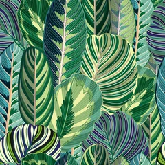 Tapeten Tropische Blätter Tropischer grüner Dschungel VectorSeamless Background