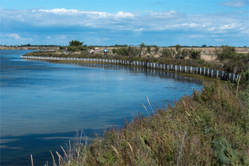 Paysage naturel des salines sur l'île de Ré