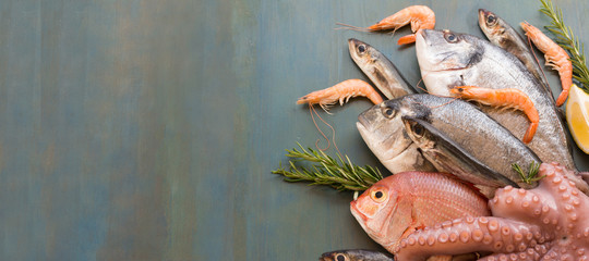 Fresh fish and seafood lay on blue background with copy space.