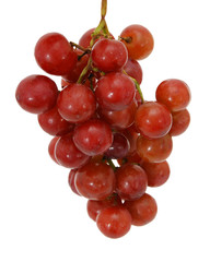 Red grapes isolated on white background