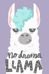 cute cartoon lama alpaca withunique hand drawn lettering quote- no drama llama.Vector Illustration. unique design for cards, posters, t-shirts, invitations © dromp
