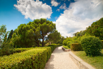Beautiful landscape in the territory of the Vorontsov Palace in the Crimea on a clear sunny day