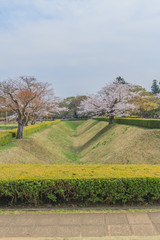 Fototapeta premium 春の佐倉城跡の角馬出の風景