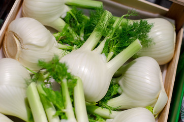 Fennel on the counter