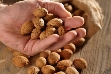 A hand that grabs some almonds. Concept of: beauty, oils, creams, wellness.