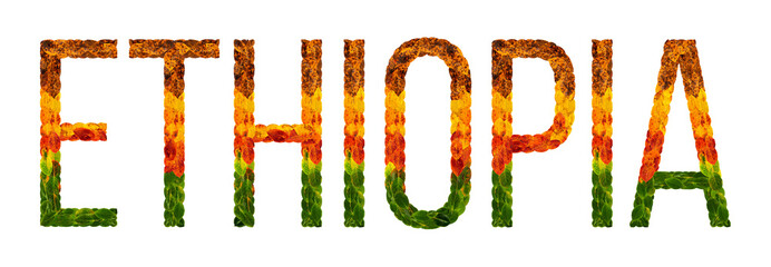 word ethiopia country is written with leaves on a white insulated background, a banner for printing, a creative developing country colored leaves ethiopia