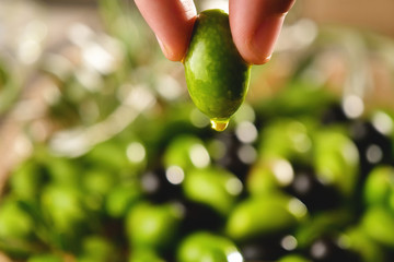 Genuine Italian organic oil cold pressed in slow motion falls on organic bread. concept of nature and healthy food, healthy and natural. fresh olives and Tuscan Italian oil