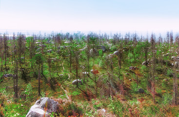 Top of Mount Vottovaara