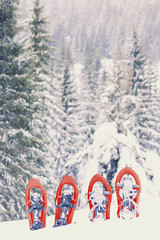 Winter trekking in the mountains. Snowshoes stand in the snow.