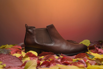 Women's shoes autumn-winter