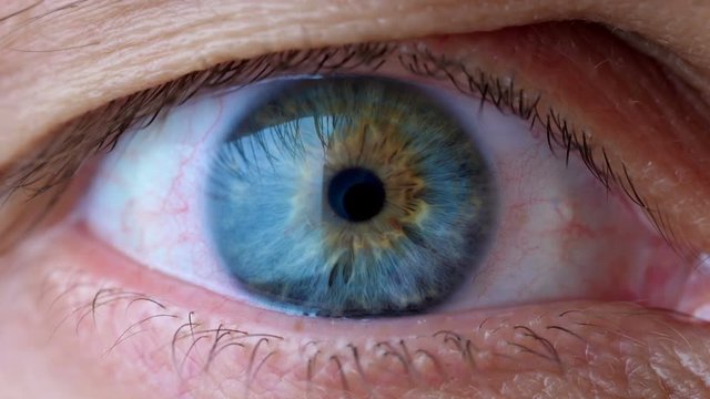 Human eye iris contracting. Extreme close up.
