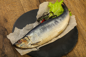 Herring fish