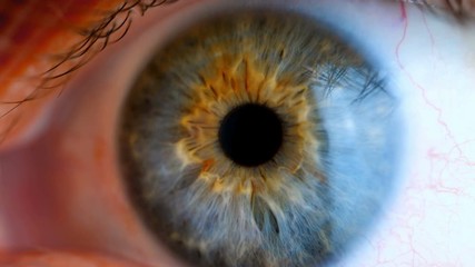 Human eye iris contracting. Extreme close up.
- Powered by Adobe