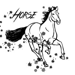 Hand drawn sketch style horse. Vector illustration isolated on white background.