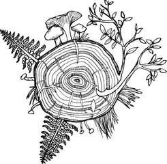 Black and white drawing of the forest set. Fern, tree, mushrooms, grass.