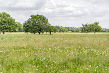 Fototapeta premium rural scenery in Hohenlohe